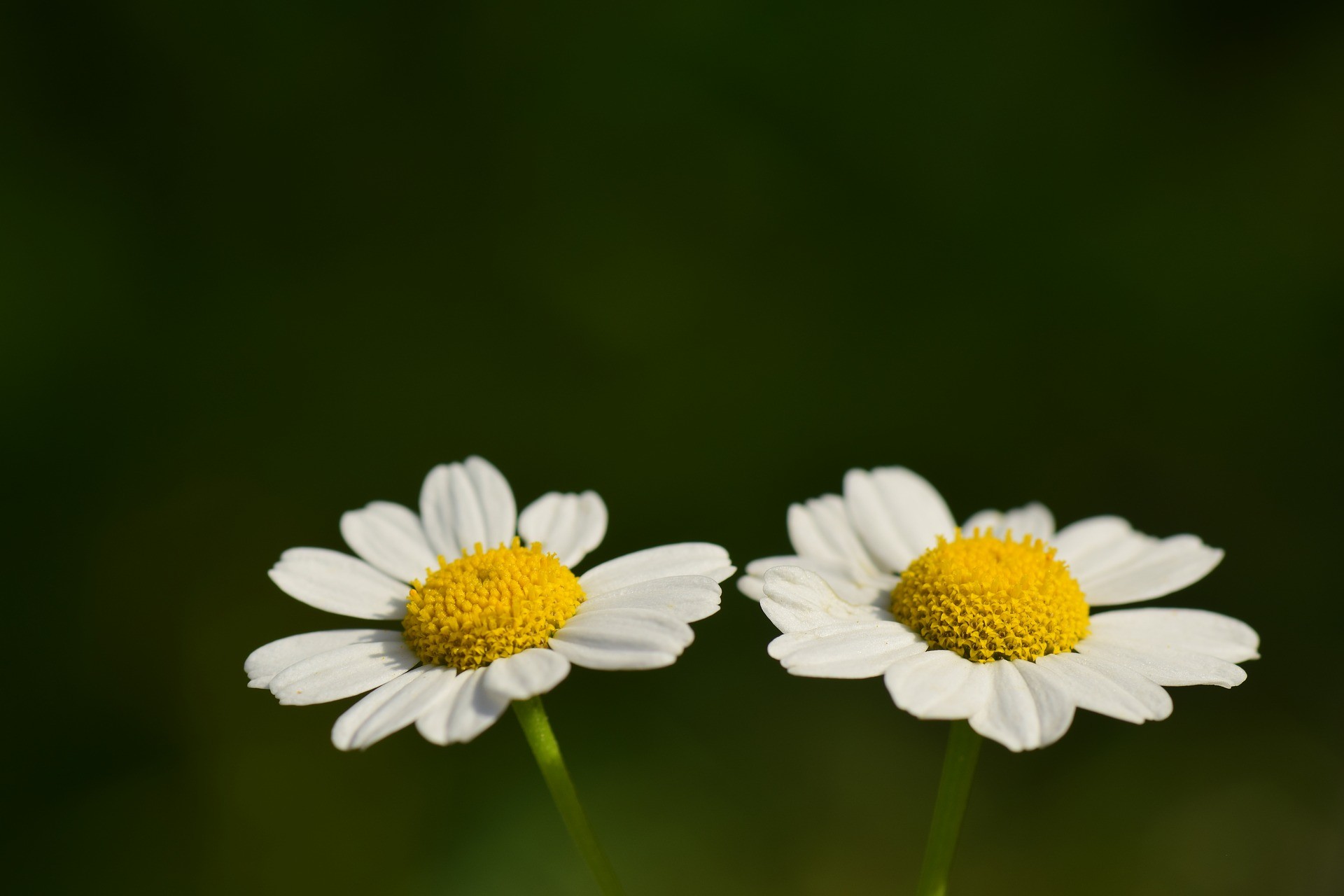 ハングルの語順は日本語と同じ 似ている語順だけど語頭や語尾に注意して