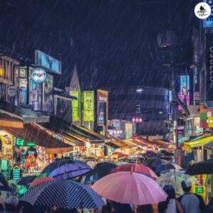 雨の日の韓国