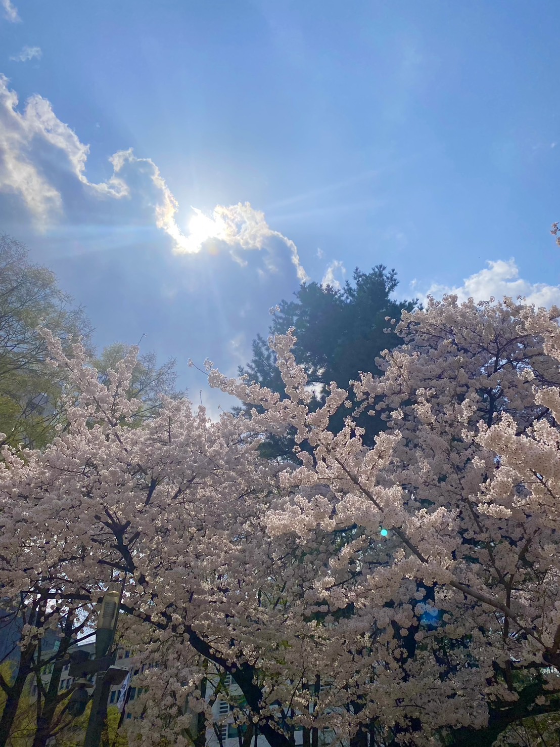 立川校ブログ