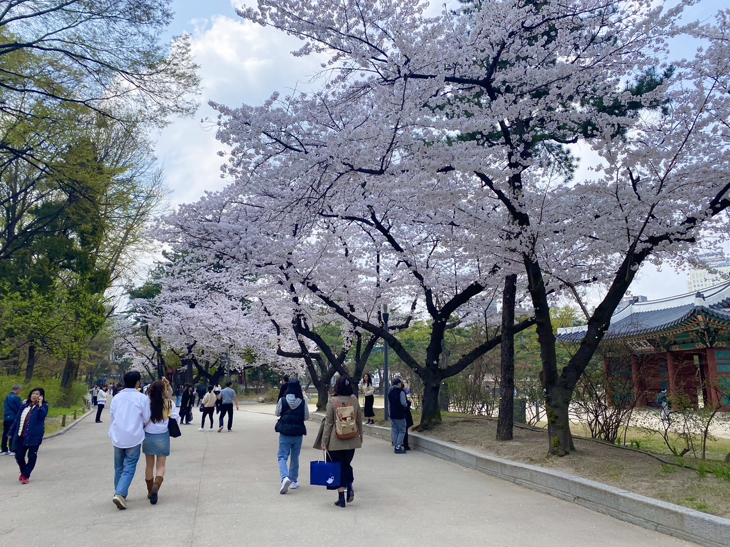 立川校ブログ