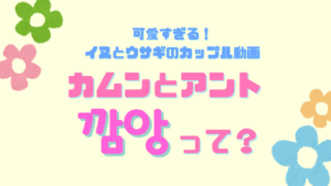 日本でも流行中？「カムンとアント」って？
