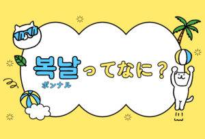 夏バテ知らず！韓国の「복날（ポンナル）」文化とは🔥