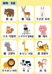 【保存版】ジャンル別で楽しく覚える！韓国語単語リスト100語