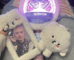 【SEVENTEEN・ホシウジファンコンサート】🚨WARNING🚨参戦レポ