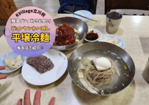 ミシュラン掲載歴有り！平壌冷麺の有名店を紹介🍜