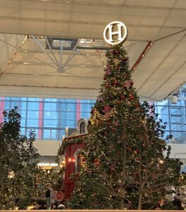 【2025年最新版】韓国で過ごすクリスマス🎄｜明洞で見られるイルミネーションを紹介！