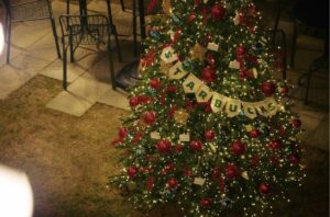 韓国のスターバックス速報 🎄