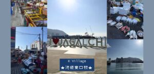 【韓国/釜山】チャガルチ市場に行ってきました🌊🐟