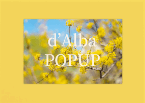 d’Alba（ダルバ）表参道ポップアップが可愛すぎる♡2026年新作先行販売＆購入品レポ🎀