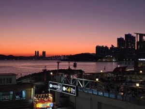 釜山🌊海雲台海辺列車🚃