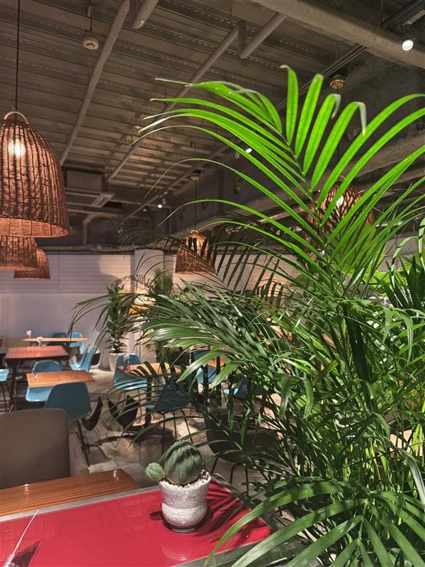 渋谷カフェDUKE Cafe