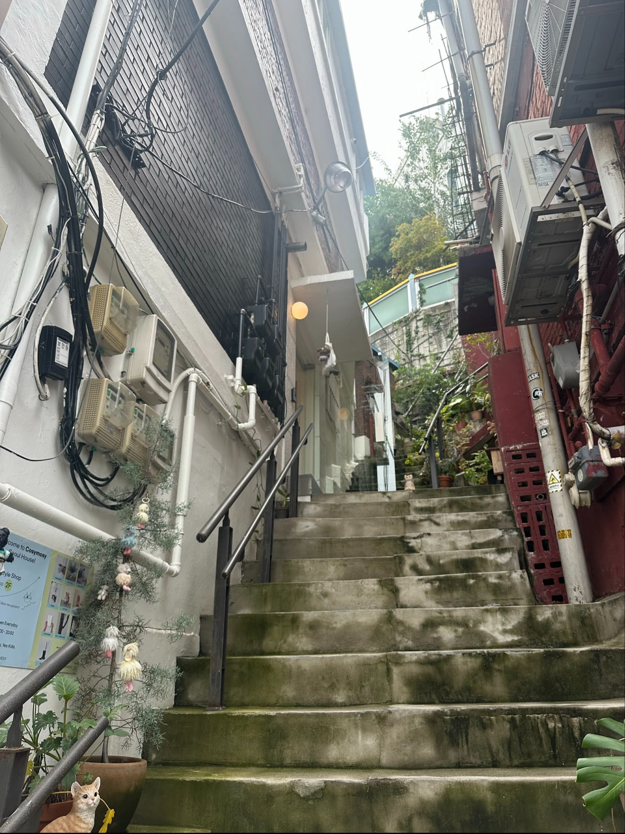 코지모지-cosymosyソウル店