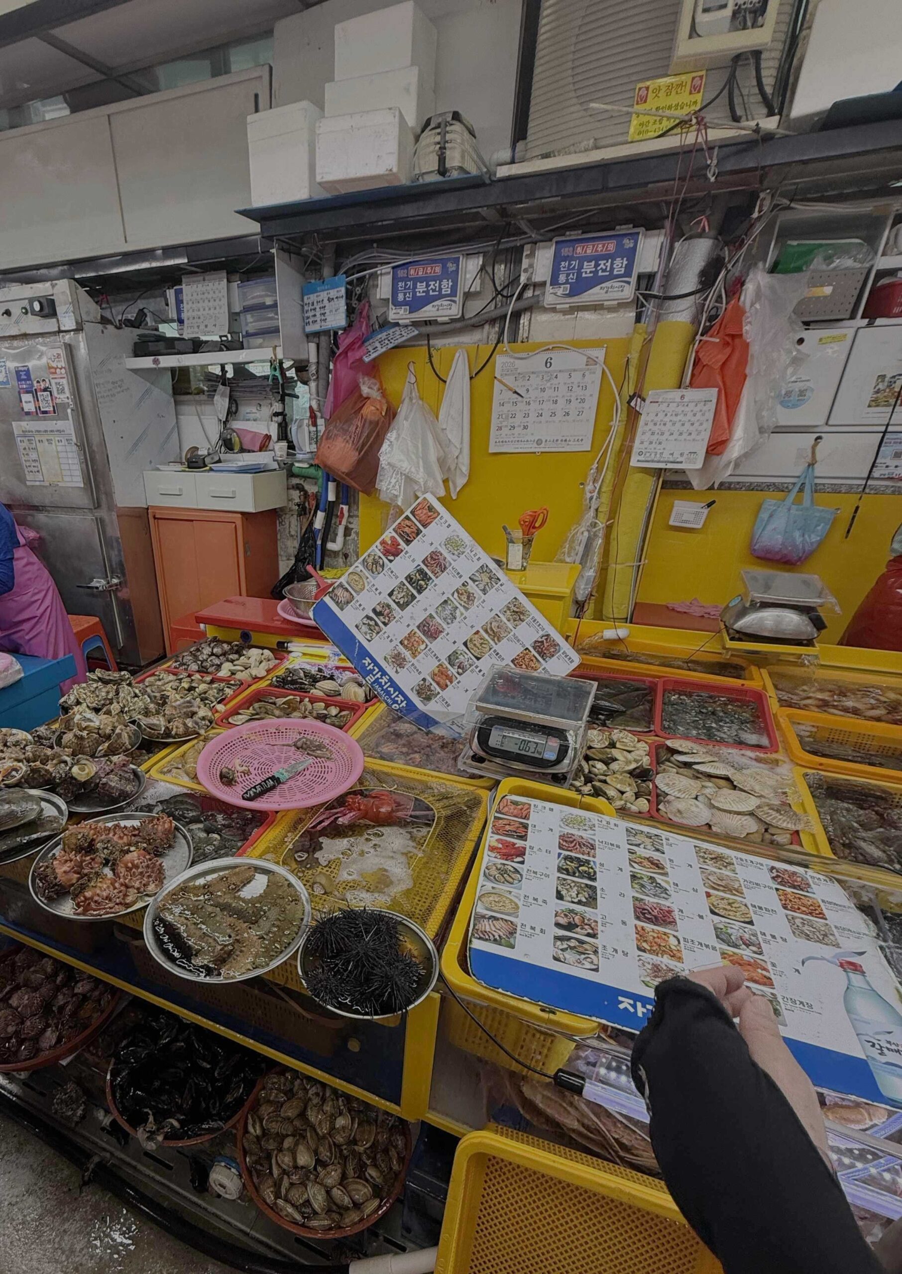 韓国旅行】釜山グルメを満喫！「チャガルチ市場」で海鮮を楽しもう