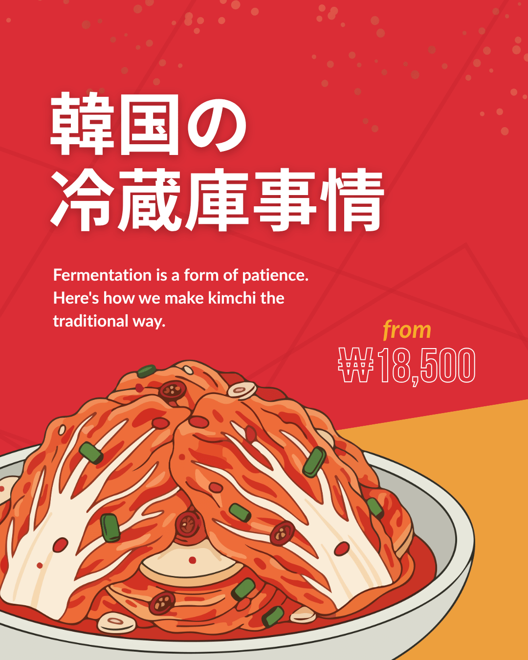 韓国の家の「キムチ冷蔵庫」って本当？ | 心斎橋校のブログ 日本最大の